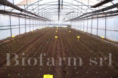 Parcellamento-06_749b7385