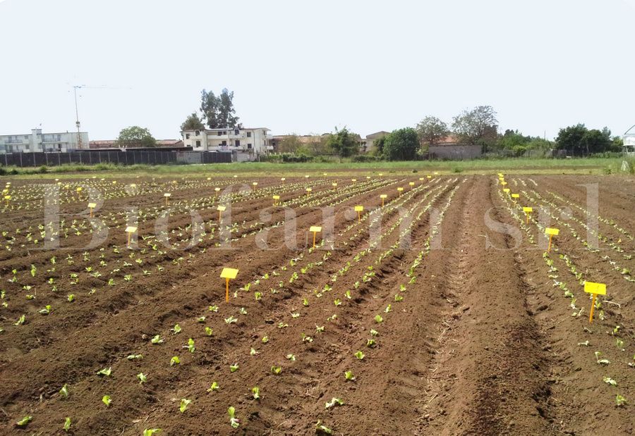 biofarm