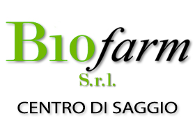 Centro di Saggio